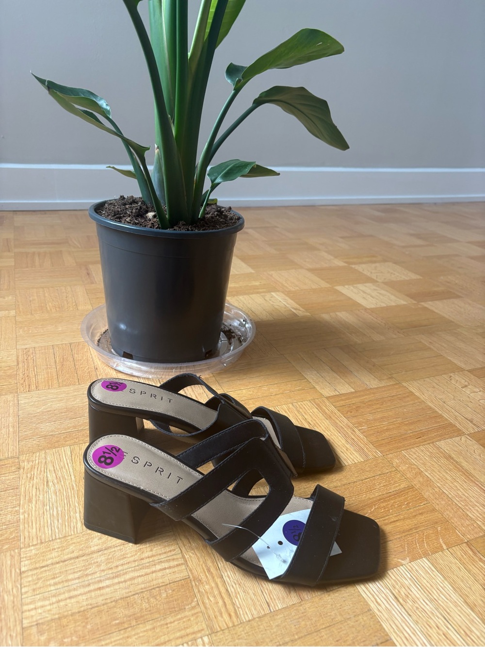 Esprit Black Strappy Block Heel Mules